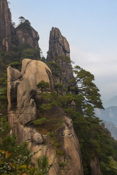 奇峰劲松三清山15