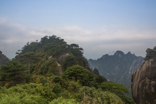 奇峰劲松三清山22