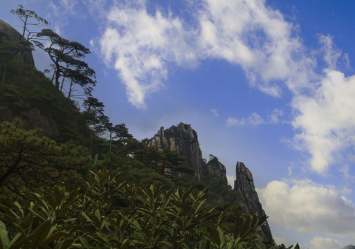 奇峰劲松三清山27