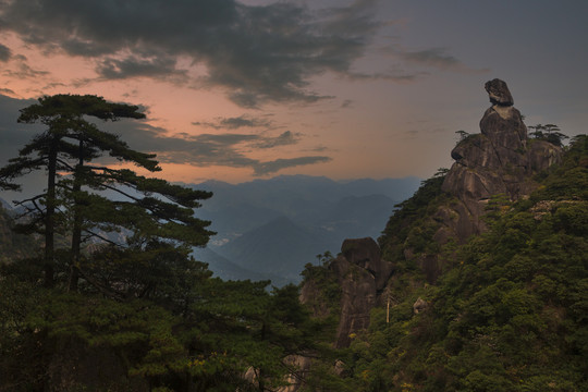 奇峰劲松三清山32