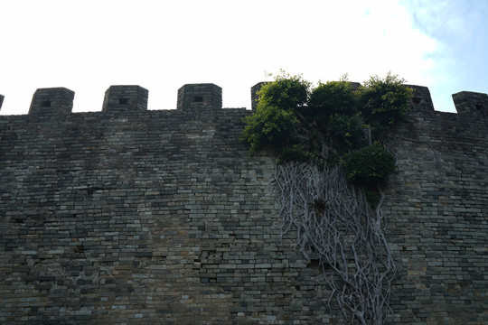城墙
