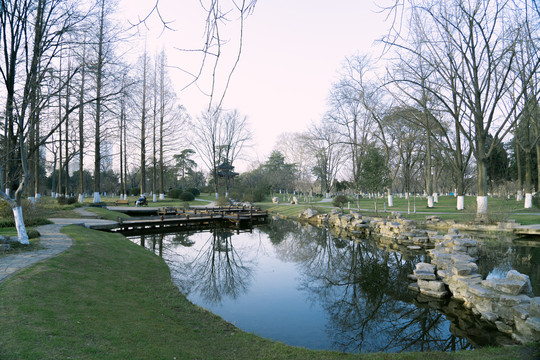 公园湖水