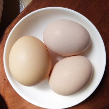 正常蛋与初生蛋
