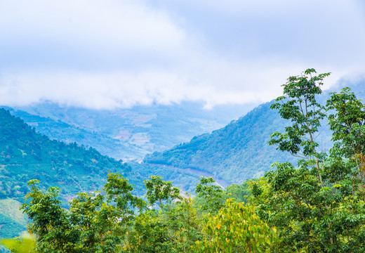 云雾高山