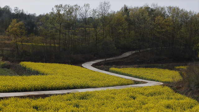 乡村公路