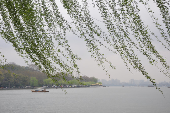 微雨西湖边