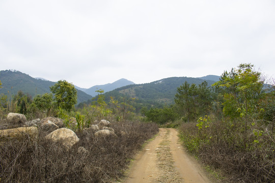 山路