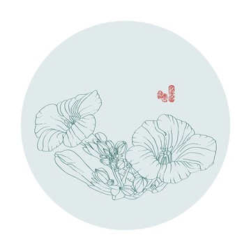 凌霄花线描