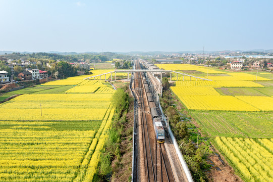 列车驶过油菜花盛开的田野