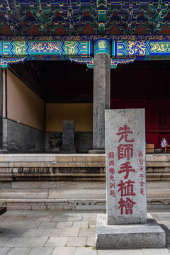 中国山东曲阜孔庙的先师手植桧