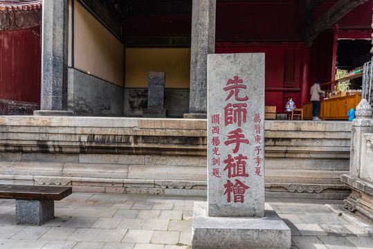 中国山东曲阜孔庙的先师手植桧