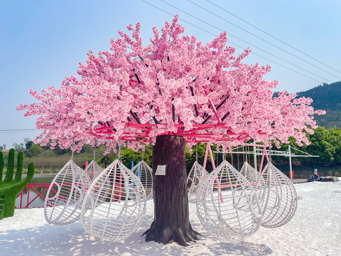 樱花树吊椅