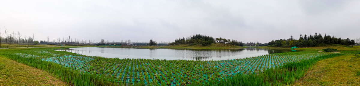 西安鹤鸣湖公园