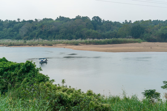 春天的河岸