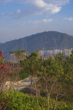 山城掠影