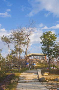 北山山顶公园风景