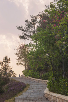 北山登山道路