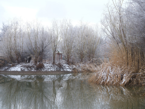 春雪