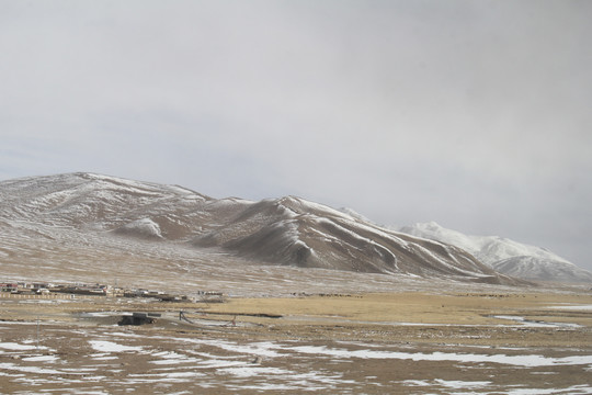 雪山草原黄草地