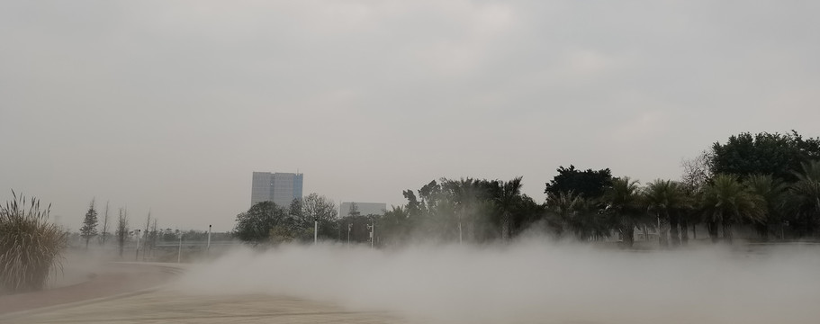 公园平流雾