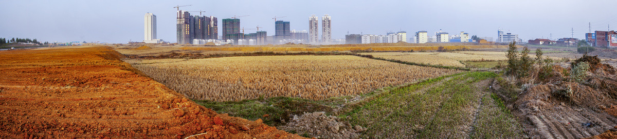 20091125高速路绿化