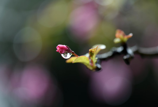 春雨润无声