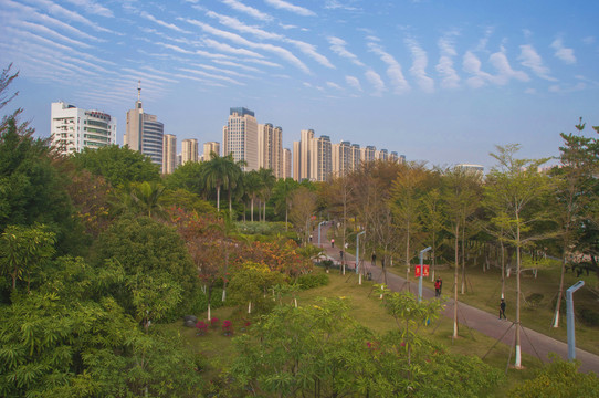 南安武荣公园城市风景