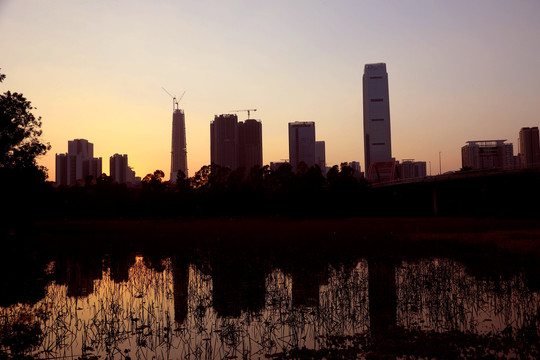 深圳城市公园夕阳美景