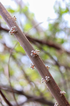 珊瑚礁