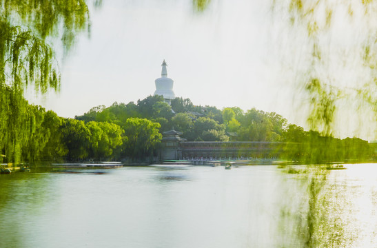 北京城市公园园林风光