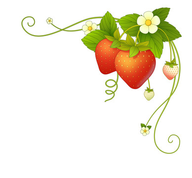 草莓边框装饰