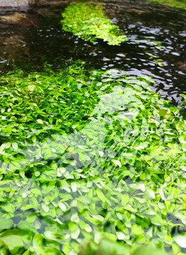 田园河流风景照