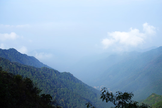 大山山区森林覆盖