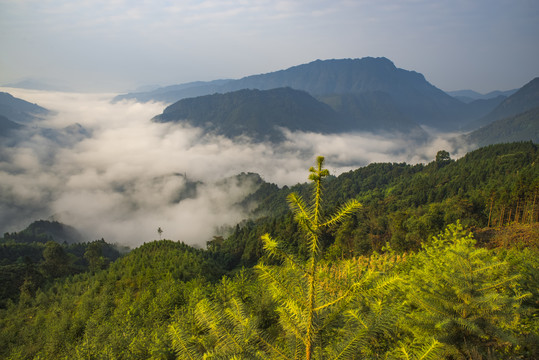 山景云海