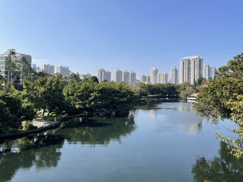 深圳市荔枝公园湖面