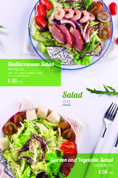 蔬菜水果沙拉菜品菜单设计