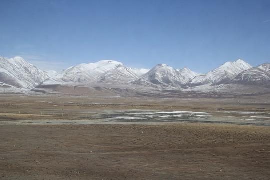 雪山湿地