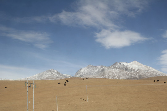 雪山