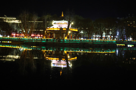 布达拉宫夜景