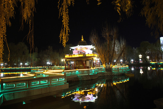 布达拉宫夜景