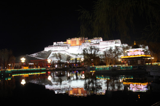 布达拉宫夜景