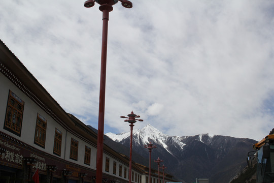 西藏建筑桃花