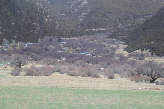 雪山湖泊