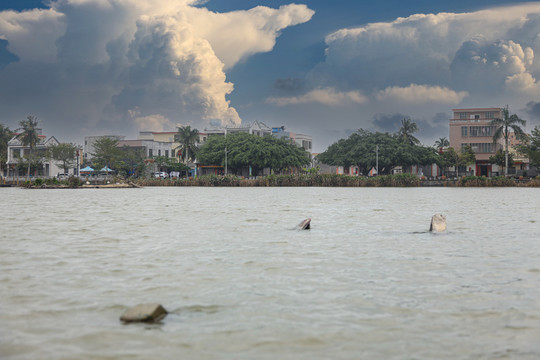 风景