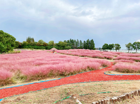 花海公园