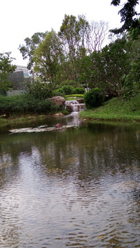 公园风景