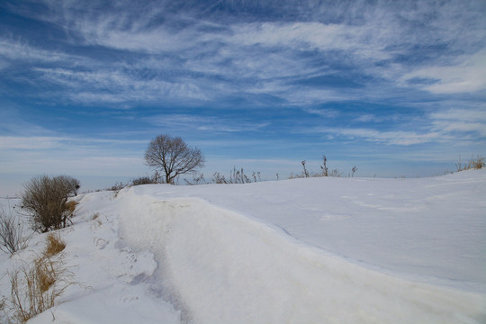 黑龙江冬雪景蓝天白云大好河山