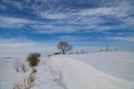 黑龙江冬雪景蓝天白云大好河山