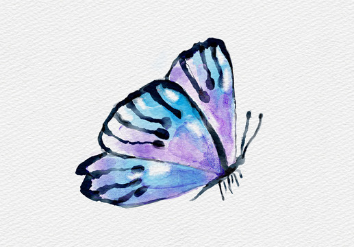 水彩蓝紫色蝴蝶元素昆虫图案