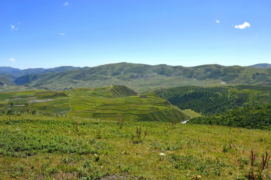 乡村自然风光